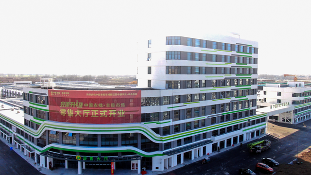 新网工程项目三年发展规划