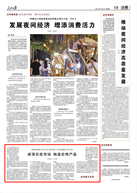 新网工程项目三年发展规划