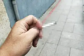 靠举报乱丢烟蒂和吐槟榔汁，台“举报达人”年入百万新台币破纪录图片