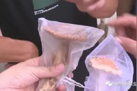 广东一家三口和两只猫吃毒蘑菇死亡 专家：可能吃下了致死率达70%的剧毒红菇图片