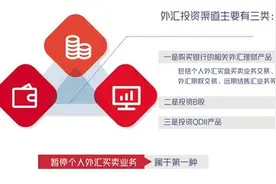 调整个人外汇买卖业务并非不能“换汇”图片