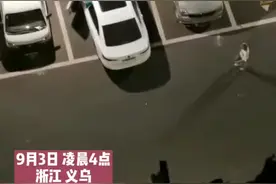 凌晨4点的大爷，一眼看穿蹊跷！立功了图片