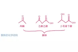 彻彻底底、明明白白搞懂“生酮饮食”图片