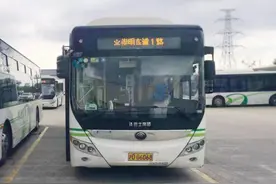【交通】崇明这5条公交线路有优化→图片