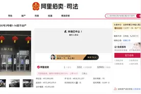 原乐视大厦挂牌拍卖因案外人异议中止图片