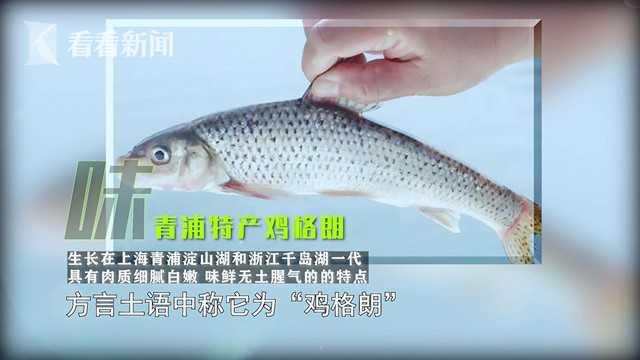 生活 第2页