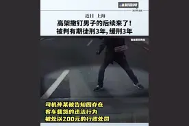 上海高架撒钉男子的后续来了！被判有期徒刑3年，缓刑3年视频封面