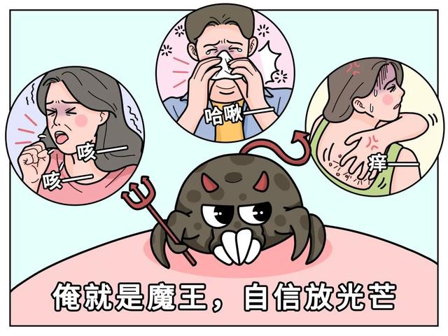 螨虫是怎么一步步爬到你床上的