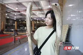 “短命”的绞杠和“坚挺”的锤 在工具里看见安化千两茶的劲道图片