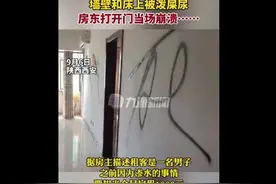 租客退租后在屋内写满死字！墙壁和床被泼屎尿图片
