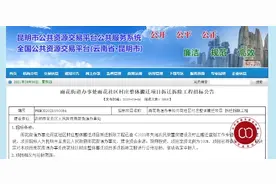 总投资4.1亿元！昆明雨花村将整体搬迁图片