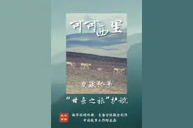 中国故事｜可可西里：为藏羚羊“母亲之旅”护航图片