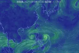 台风“灿都”路径大幅北调，对杭州影响增强！天气突然转凉，钱江新城的玉兰开始凌乱了……图片