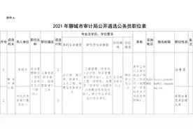 13日起报名，聊城市审计局公开遴选公务员图片