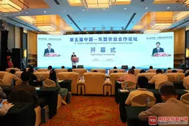 十年累计超15亿美元！广西加大对东盟农业投资图片
