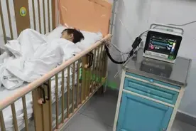 警惕！祖孙三口误食这种东西后丧命图片
