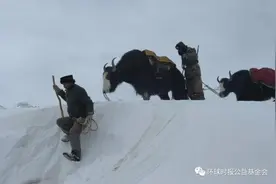 “安远”计划，关爱新疆“护边卫士”图片