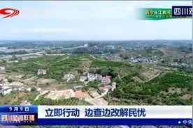 四川新闻联播 | 立即行动 边查边改解民忧图片