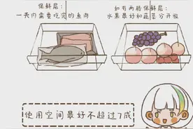 冰箱食物的合理摆放方式图片