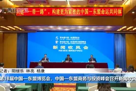 第18届中国—东盟博览会、中国—东盟商务与投资峰会召开新闻吹风会视频封面
