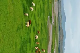 你没见过的巴林右旗，横屏美给你看！图片