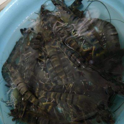 我家做水煮虾就用这个方法，解馋又营养