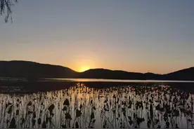 忆念恩师 | 王小燕图片