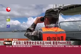 广东阳江海警查处走私冻品700吨  案值约6000万元视频封面