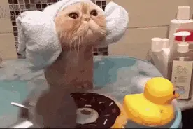 祛垢除锈、除霉……厨卫清洁难题，用它1瓶全搞定，植物配方不伤瓷釉图片