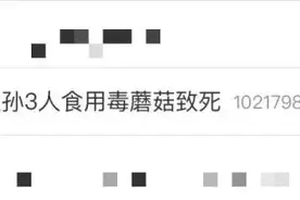 一顿饭后，祖孙三人身亡，两只猫也丧命……又是因为它图片