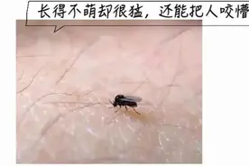 紧急提醒！南昌疾控最新发布图片