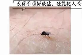 紧急提醒！南昌疾控最新发布图片