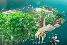 教师的幸福时刻有哪些？来听听广州白云八位教师的分享视频封面