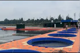 用“桶”养鱼，有多神奇？图片