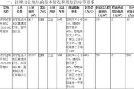 均为工业用地，济宁经开区挂牌出让俩地块图片