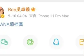 42岁吴卓羲女友HANA菊梓乔个人资料介绍 菊梓乔本名叫什么图片