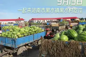 9月13日，一起来洮南市黑水镇黑水村吃瓜图片