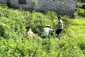 戏精上身！男子躲进草丛打滚，趁人不备又开溜图片