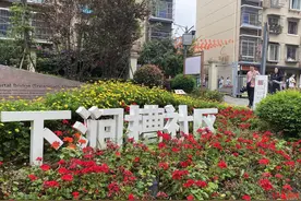 老片区更新，颜值上限在哪里？成都批量“上新”，记者现场打探图片