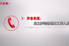 50元就能摸白虎幼崽？专家：这样不好，对人对虎都不好图片