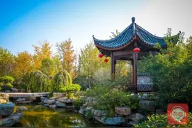园博园今天开园，免票七天！美术馆也将开放图片