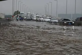 灾害过后，一个城市如何能快速恢复？图片