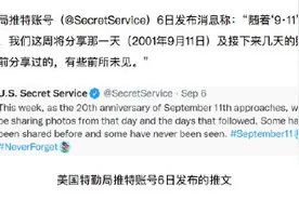 满目疮痍！20年后，美国特勤局发推公布“9·11”事件“罕见”照片图片