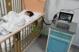祖孙三人食用毒蘑菇身亡，两只猫喝汤后也被毒死图片