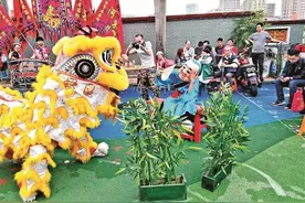 狮剧生动传神 燃起传承星火——河东醒狮团创新演绎方式让醒狮文化大放异彩图片