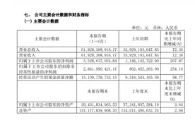 长城营收、净利润暴涨背后：魏牌“豪赌”海外市场面临大考图片