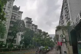 深圳逾20年老小区紫薇花园棚改，为何不纳入南区？部门回应图片