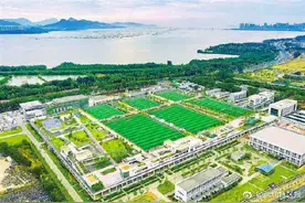 深圳首个足球主题生态体育公园开园 福田再添“硬核”运动打卡地图片
