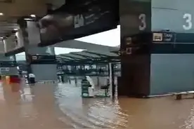 印度新德里遭暴雨袭击 机场积水严重图片