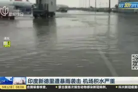 印度新德里遭暴雨袭击  机场积水严重视频封面